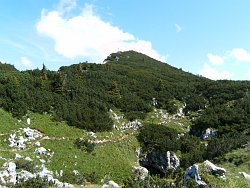 H&ouml;llentalk&ouml;pfl
