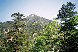 Hirschh&ouml;rnlkopf