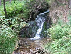 Abstieg �ber Risslochsteig