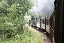 Kuckucksb�hnel