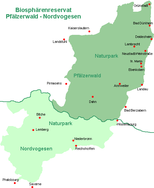 Biosp�renreservat Pf�lzerwald - Nordvogesen