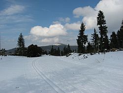 Blick zum Arber